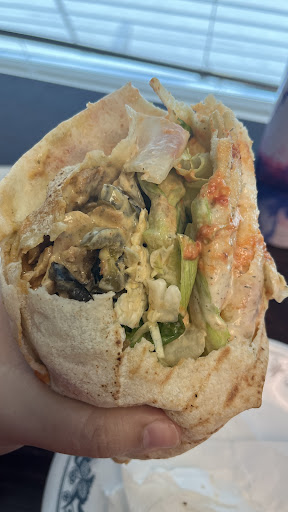 Photo of Donair Dude - 2450 Commercial Dr, Vancouver, BC V5N 1W2